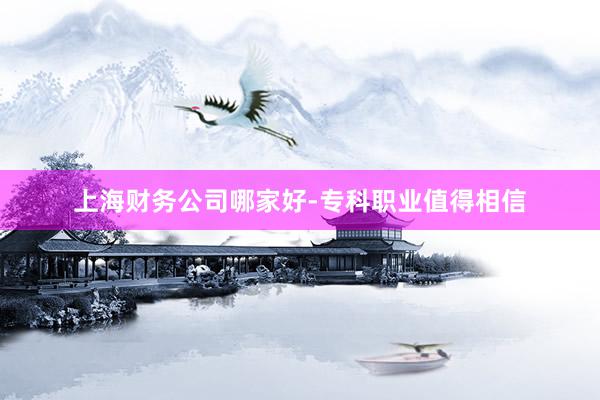 上海财务公司哪家好-专科职业值得相信