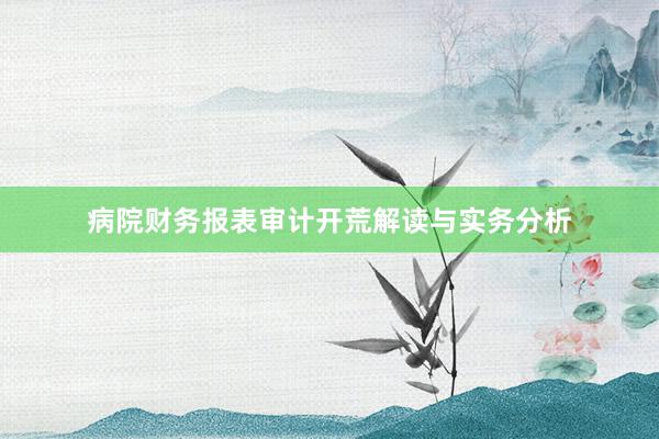 病院财务报表审计开荒解读与实务分析